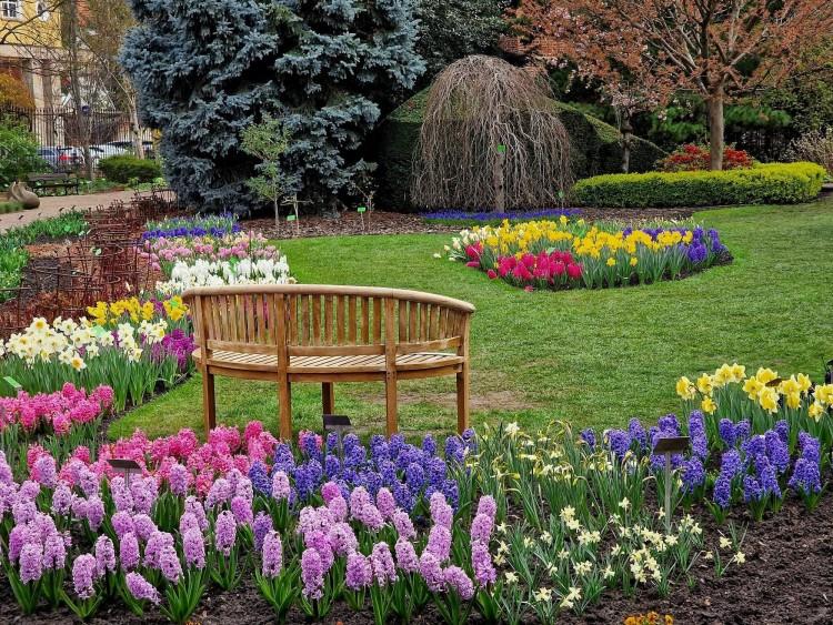 Ogród Botaniczny we Wrocławiu pełen kolorów. Ale tu pięknie!
