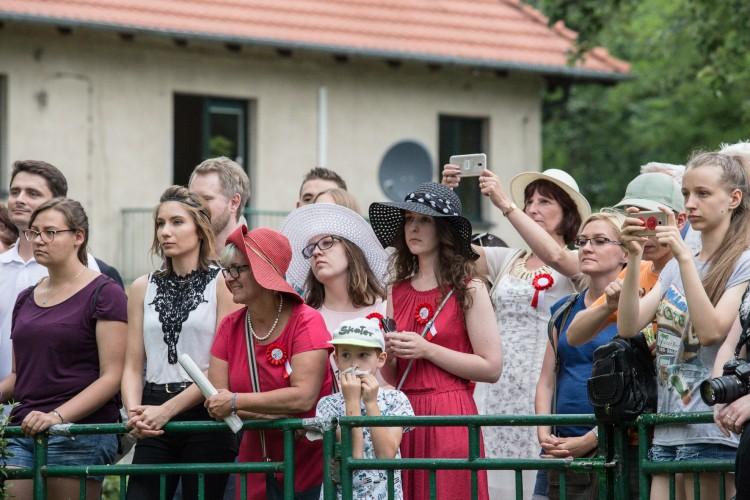 Bez nudy na Partynicach. Crystal Cup i Ladies Day na WTWK [ZDJĘCIA]