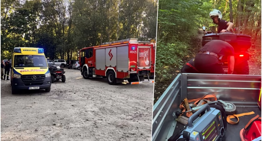 Trzy szerszenie użądliły mężczyznę. Dramatyczna walka o życie poszkodowanego