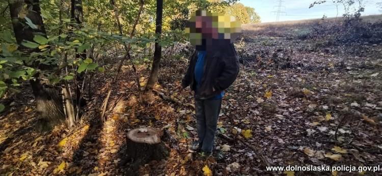 Ukradł sąsiadowi kilkadziesiąt drzew. Drewno sprzedał w wiosce na opał