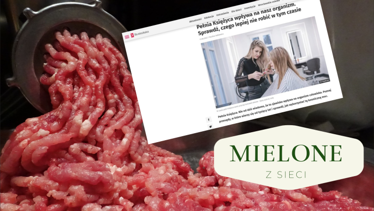 MIELONE Z SIECI  W ratuszu walczą z wampirami?