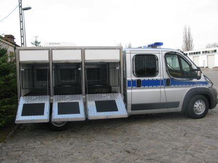 Na boso, w koszulce i spodenkach uciekł w środku nocy z domu. Odnalazł go pies