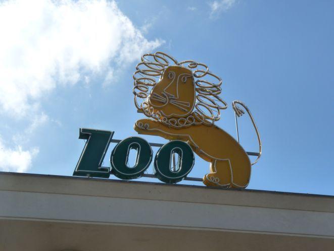 Zwierzęta miały problem z przylotem do ZOO