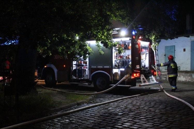 Wrocław: Nocny pożar parku we Wrocławiu. Ucierpiały zwierzęta i rośliny