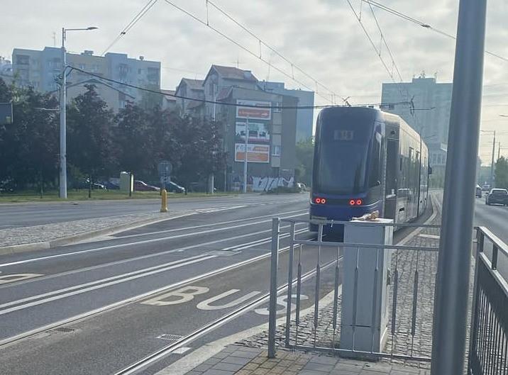 Wrocław: Awaria tramwaju na Rogowskiej
