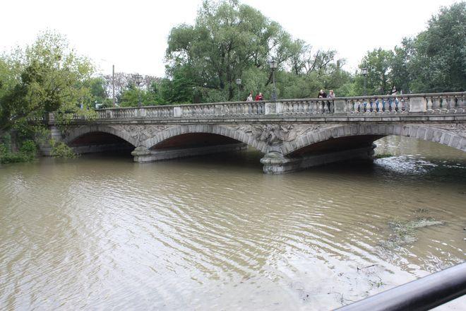 Rzeki Oława i Odra na razie spokojne (godz. 14.30)