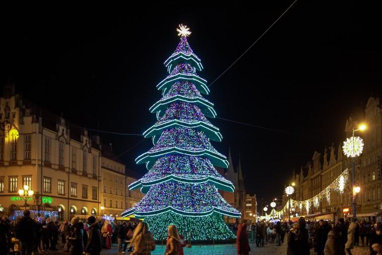 Na wrocławskim Rynku zabłysła choinka