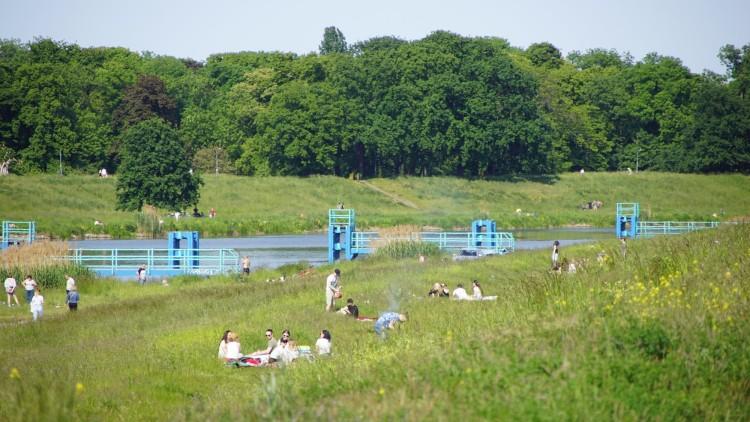 Wrocławianie wypoczywają nad Odrą. Niedzielny 