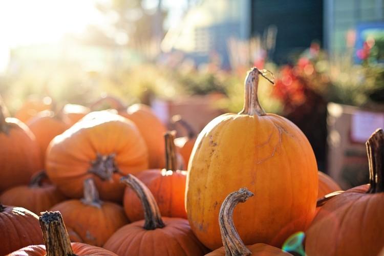Wesoły marsz „HolyWins” zamiast Halloween – to propozycja wrocławskiej kurii