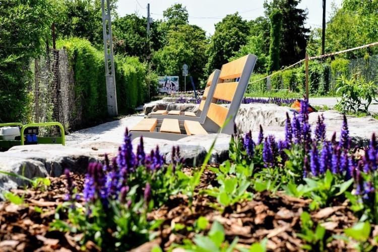 Wrocław: Nowa trasa spacerowa powstaje na Ołbinie [ZDJĘCIA]