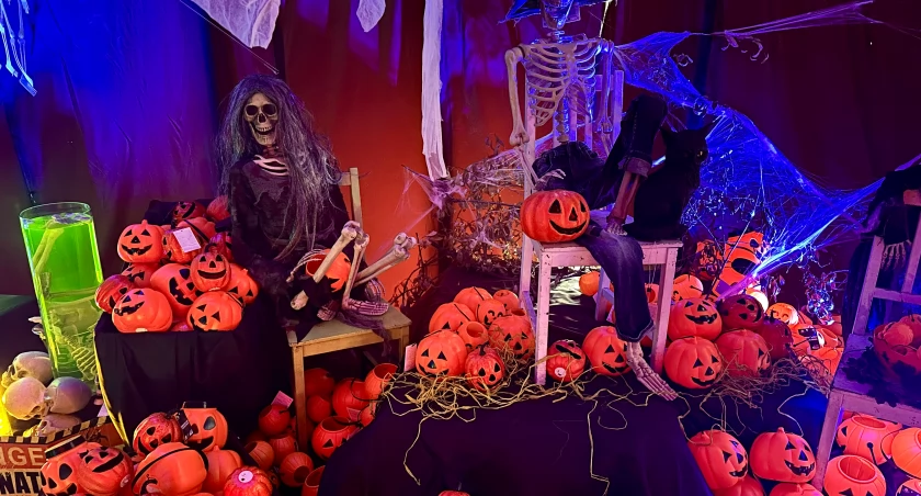 Wstęp tylko dla odważnych! Wrocławski sklep już gotowy na... Halloween