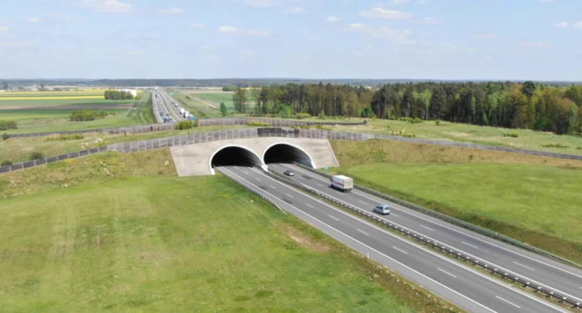 14-kilometrowy korek pod Wrocławiem. Powodem roboty na S8