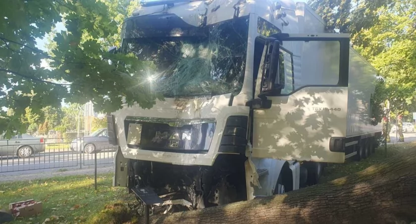 Ciężarówka przejechała przez chodnik i uderzyła w drzewo. Chwile grozy w centrum miasta