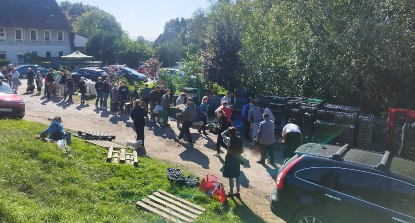Wielkie serca internautów. Uratowali rolnika. W kilka godzin kupili 11 ton śliwek!