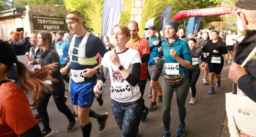 Wild Run 2025 we Wrocławiu. Ponad tysiąc osób biegało po alejkach zoo!