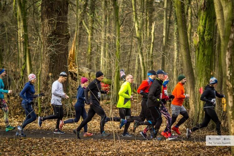 CITY TRAIL: wrocławska rywalizacja skrócona do pięciu biegów