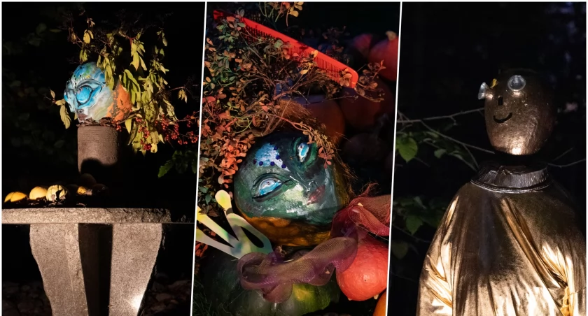 Dyniowe Iluminacje w Ogrodzie Botanicznym. Ostatni dzwonek żeby się tam wybrać!