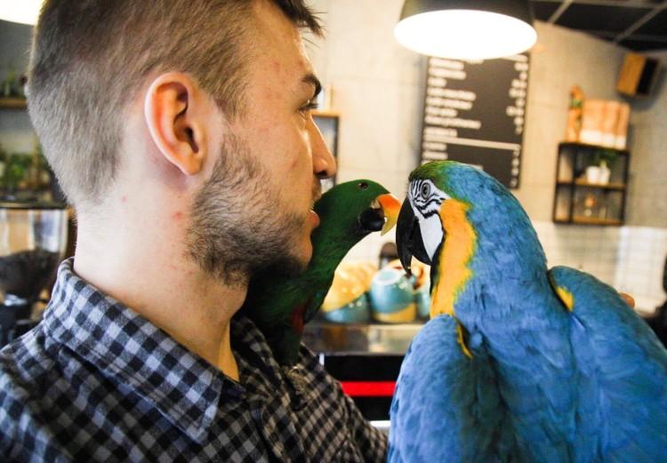 Kawiarnia z papugami. Parrot Coffee już działa! [ZDJĘCIA]