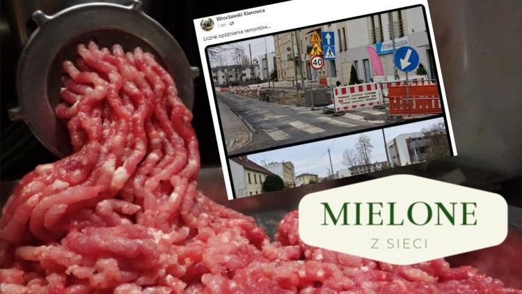 MIELONE Z SIECI Język polski „trudna języka”…