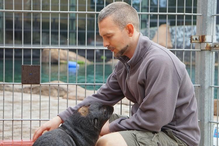 Piękne życie we wrocławskim zoo. Na świat przyszedł kotik afrykański [ZDJĘCIA]