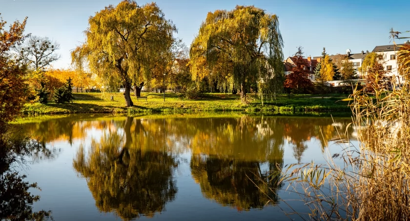 TOP 10 najlepszych gmin do zamieszkania pod Wrocławiem