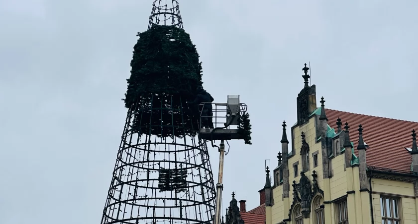 Choinka wraca na wrocławski rynek. Jak będzie wyglądała w tym roku?