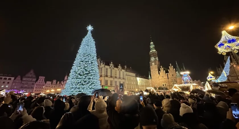 Nie tylko Rynek. We Wrocławiu stanie osiem choinek