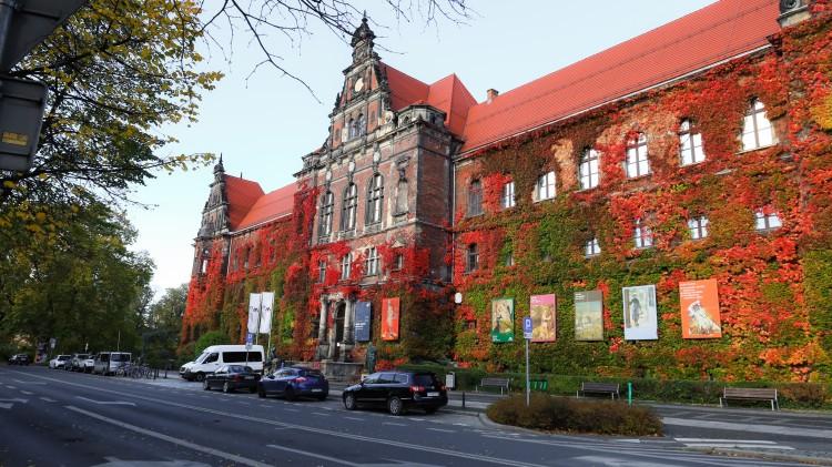 Piękna jesień we Wrocławiu. Zobacz jak malowniczo wygląda miasto [ZDJĘCIA]