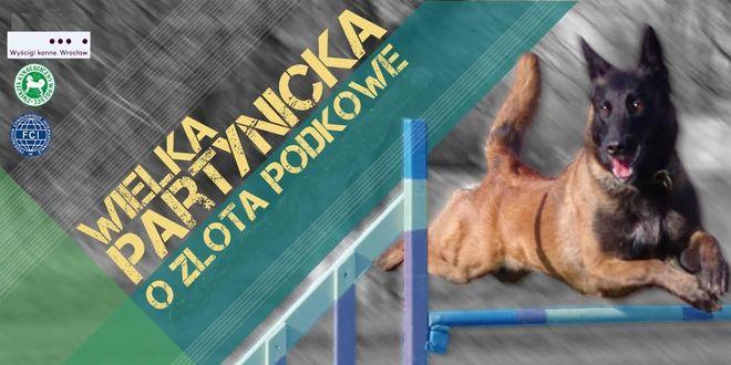 Wielka Partynicka. O złotą podkowę we Wrocławiu powalczą... psy