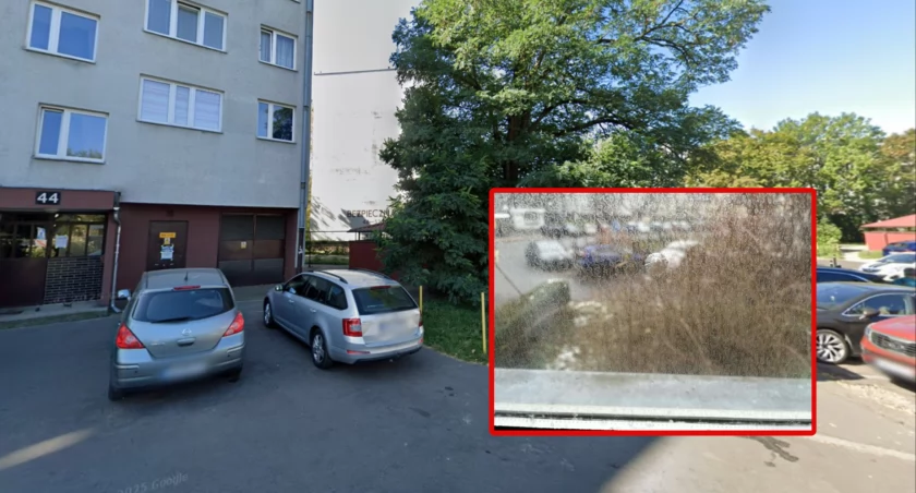 Ktoś terroryzuje mieszkańców Różanki. Strzela z broni w auta i okna 