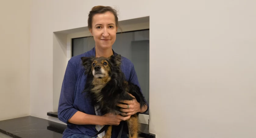 Sylwester dla zwierząt to horror. Ekspertka radzi, jak im pomóc