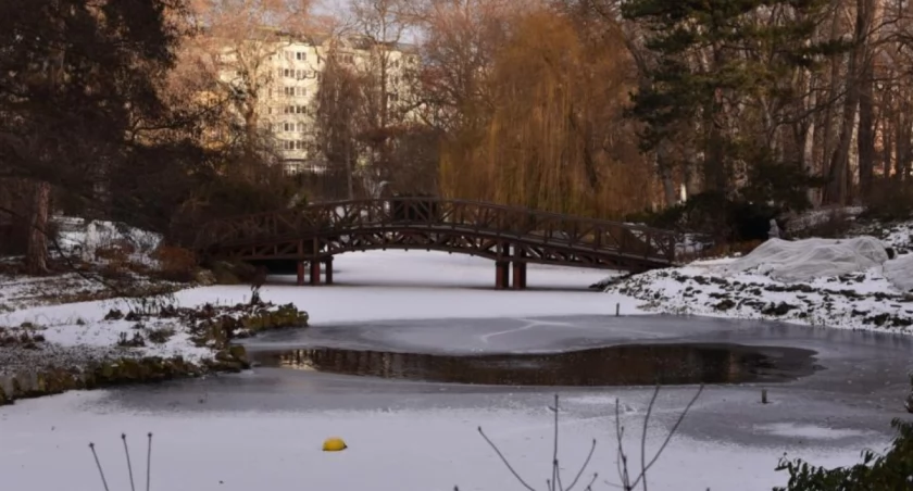 Zimą też warto! Ruszyły spacerowe weekendy w Ogrodzie Botanicznym we Wrocławiu