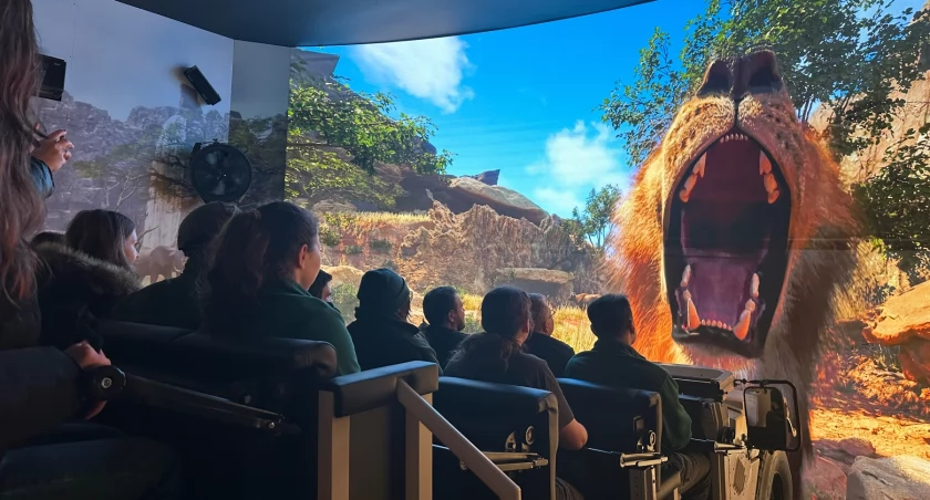 Lwy, słonie i żyrafy na wyciągnięcie ręki. Safari Ride w zoo we Wrocławiu  