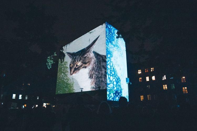 Gigantyczne ruchome murale na wrocławskich kamienicach. O co chodzi? [ZDJĘCIA]