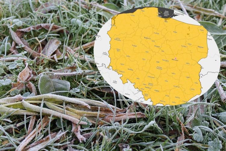 Idą przymrozki. Cały kraj objęty żółtym alertem IMGW