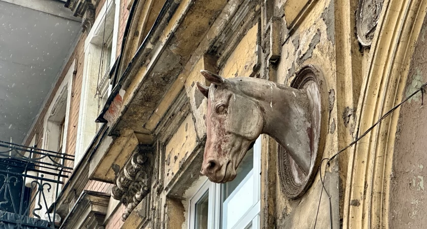 Końskie łby nad głowami przechodniów we Wrocławiu. Nie powstały tu przypadkiem!