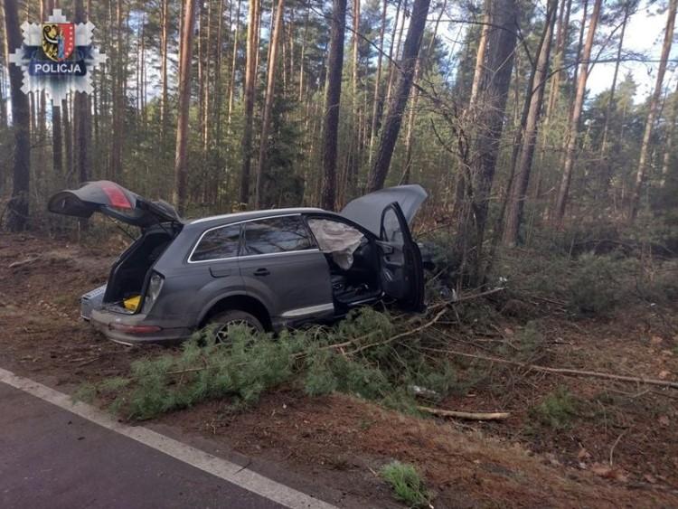 Śmiertelne potrącenie pieszego. Policja szuka sprawcy [PORTRET PAMIĘCIOWY]