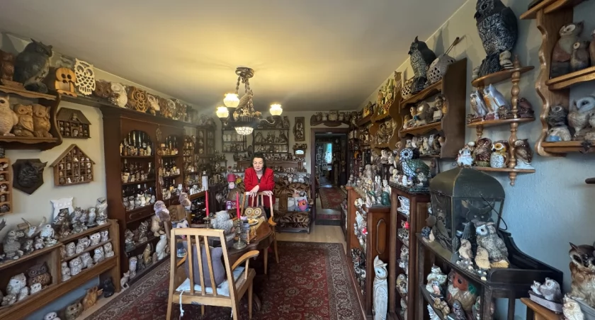 Pani Ela kocha sowy. W mieszkaniu ma ich prawie 10 tysięcy!