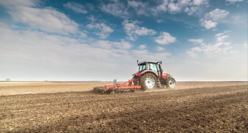 Na Dolnym Śląsku wiosenna orka zakończyła się odkryciem bardzo cennego skarbu