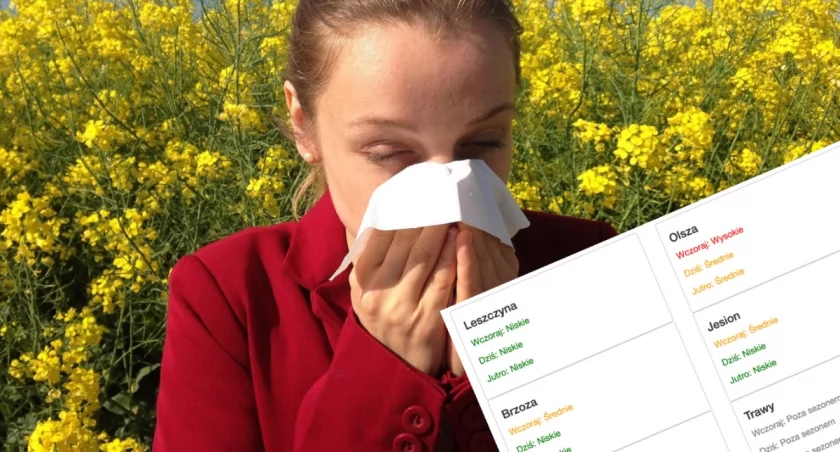 Co pyli we Wrocławiu? Teraz sprawdzisz to na żywo online!