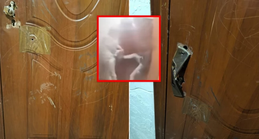 Chciały się odegrać, ale pomyliły adres. Zawód miłosny skończył się wyrokiem