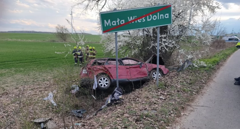 17-latka nie żyje, dwie osoby zostały ranne. 20-letni kierowca nie miał prawa wsiąść za kierownicę