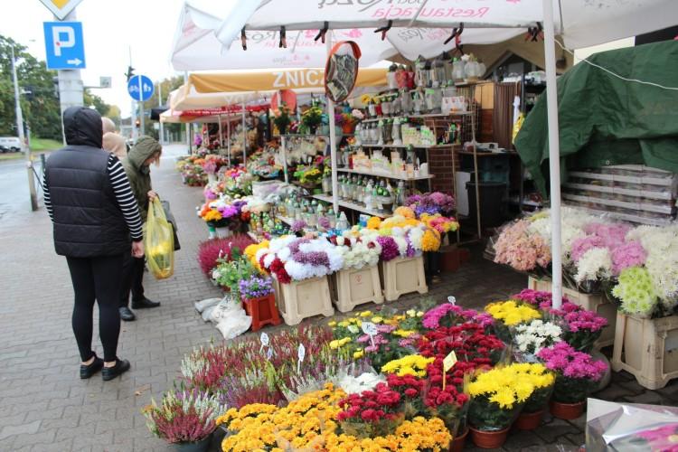 Wszystkich Świętych: Chryzantemy wychodzą z mody. Ile kosztują w tym roku?