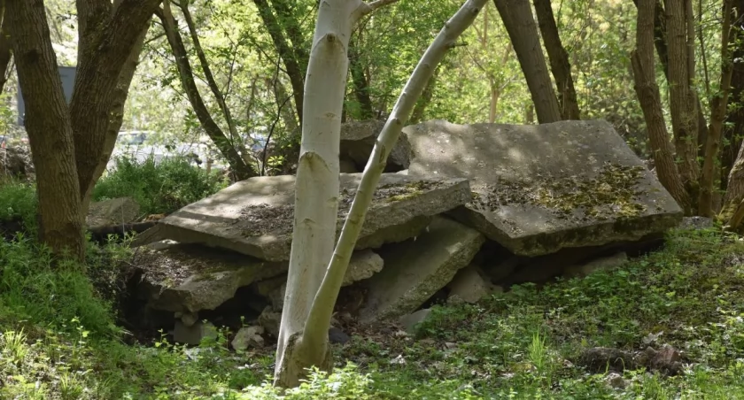 Zamiast betonowych płyt tętniący życiem park. Tak zmienia się teraz Gądów