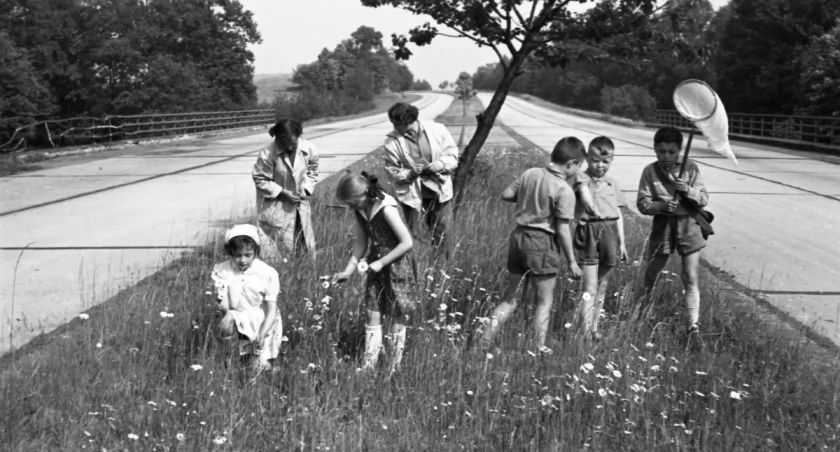 Rodzinny piknik na środkowym pasie A4. Te zdjęcia to unikaty!