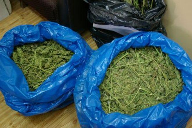 Policjanci przejęli 18 kilogramów marihuany 