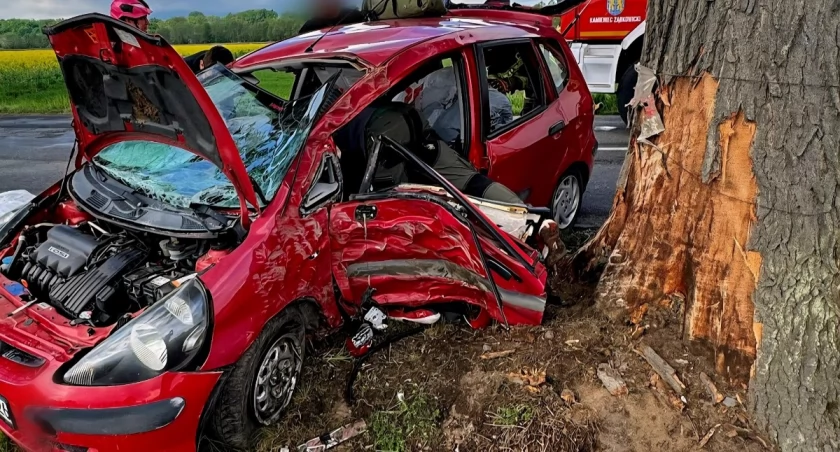 Mandat nie pomógł. 30-latek chwilę później roztrzaskał się na drzewie