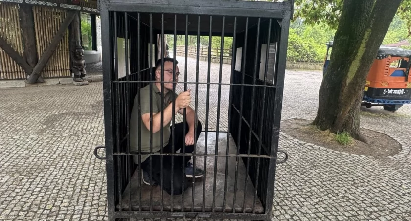 Na kaca niedźwiedź z rurką w wątrobie. W zoo we Wrocławiu możesz wejść do malutkiej klatki 