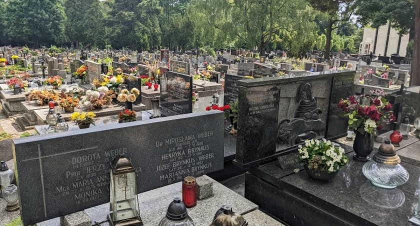 Zmarli we Wrocławiu - pogrzeby zaplanowane na 9.05.2026 – nekrologi