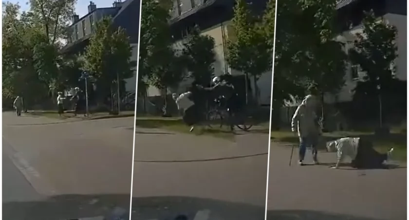 Szokujący atak we Wrocławiu! Rowerzysta powalił seniorkę [FILM]